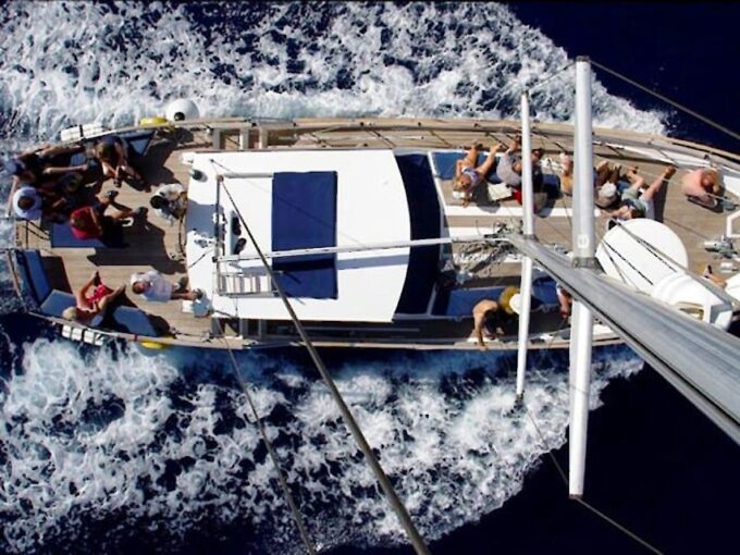 Funchal: Dolphin and Whale Watching Sailing Trip - Booking and Cancellation