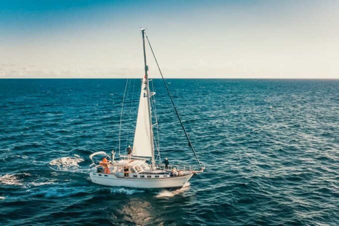Funchal: Dolphin and Whale Watching Sailing Trip - Marine Life Observation