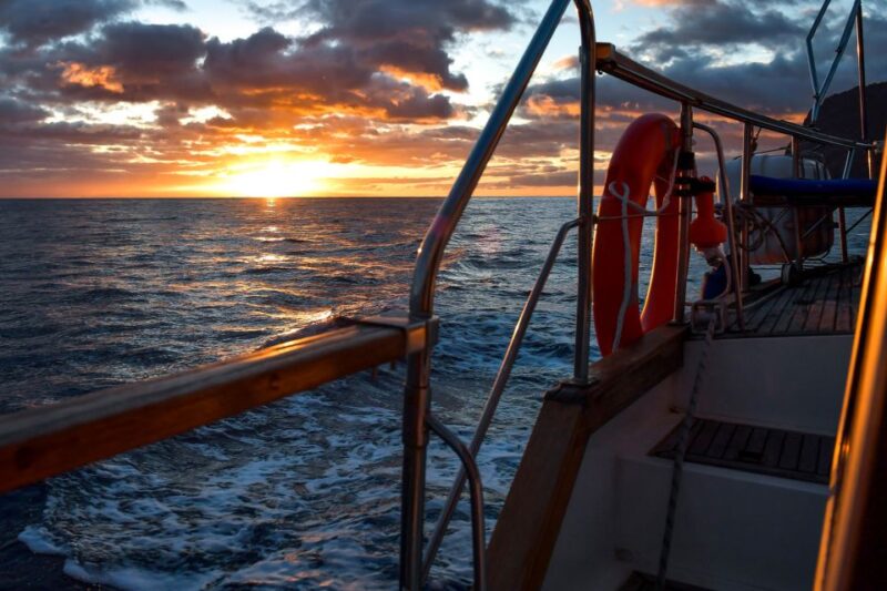 Funchal: Dolphin and Whale Watching Sunset Sailing Tour - Activity Highlights