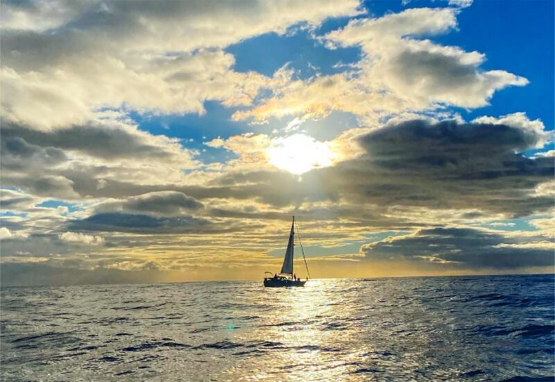 Funchal: Dolphin and Whale Watching Sunset Sailing Tour - Pricing and Cancellation