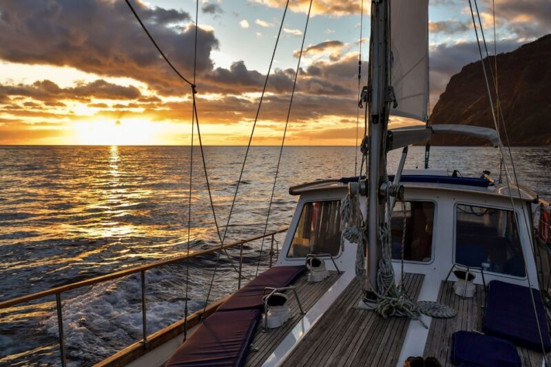 Funchal: Dolphin and Whale Watching Sunset Sailing Tour - Wildlife Encounters