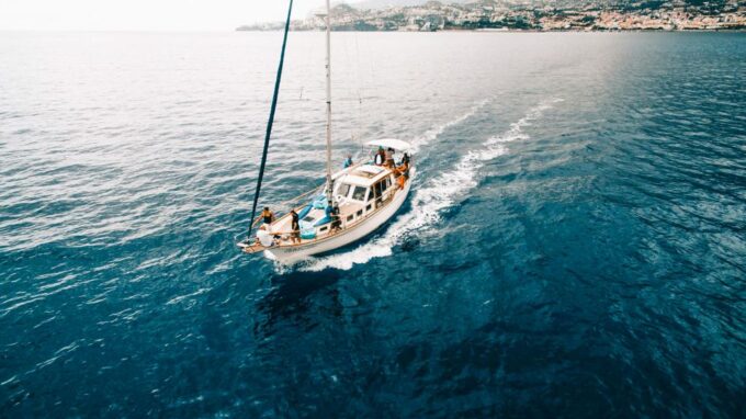 Funchal: Dolphin and Whale Watching Sunset Sailing Tour - Tour Logistics