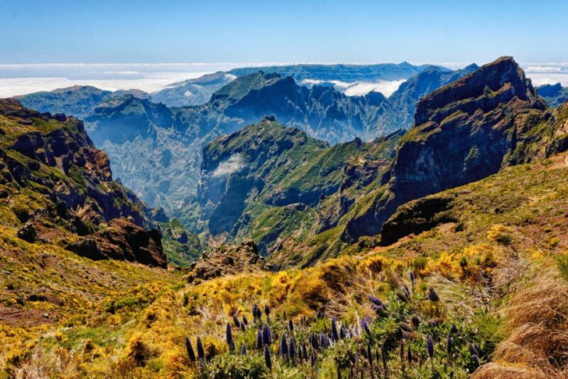 Funchal: East Madeira Island Guided Tour & Laurissilva Walk - Itinerary Highlights