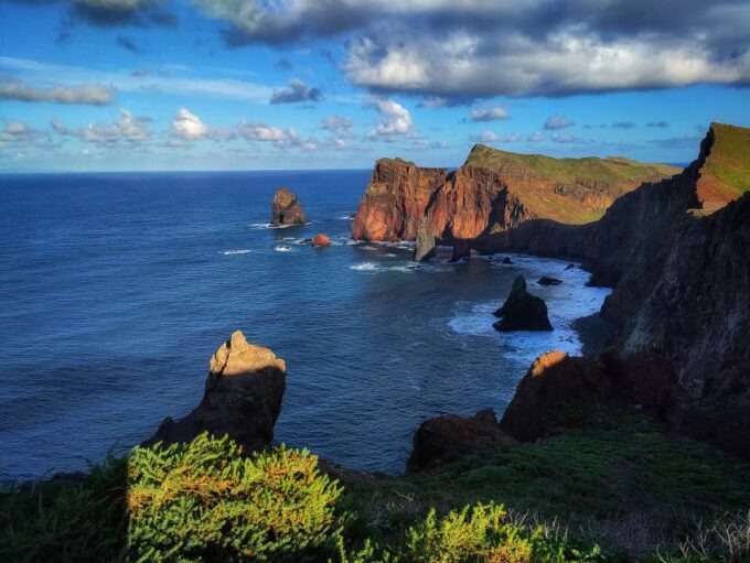 Funchal: East Madeira Island Guided Tour & Laurissilva Walk - Faial