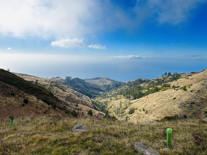Funchal: East Madeira Island Guided Tour & Laurissilva Walk - Porto Da Cruz