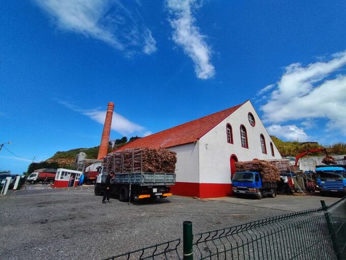 Funchal: East Madeira Island Guided Tour & Laurissilva Walk - Frequently Asked Questions