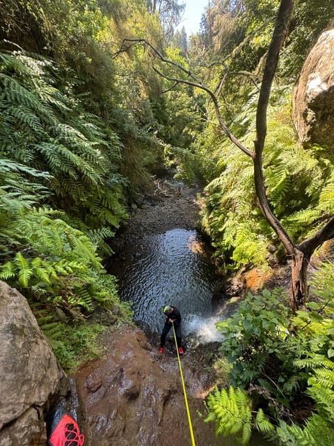 Funchal: Explore Canyoning Level 1 Rochão - Key Points