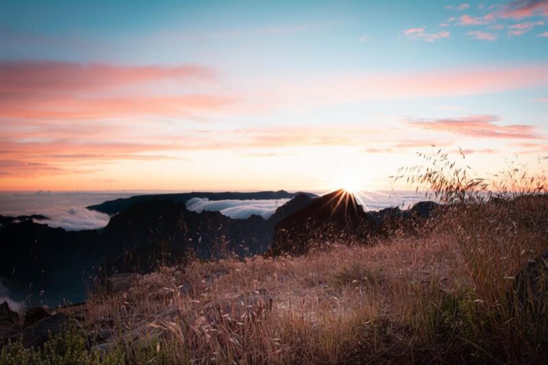 Funchal: Explore Madeira Island in 4X4 North East - Transportation and Tour Features