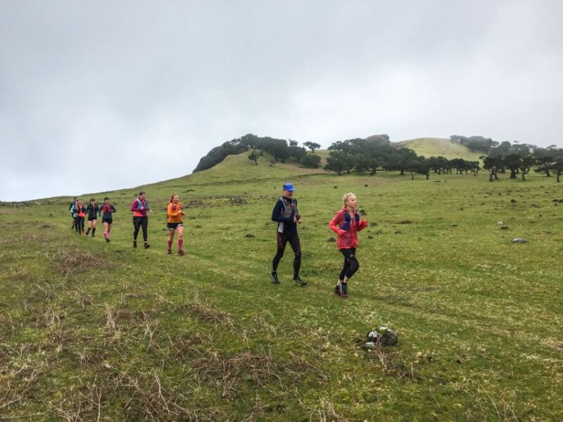 Funchal: Fanal Ancient Forest Running Tour - Inclusions