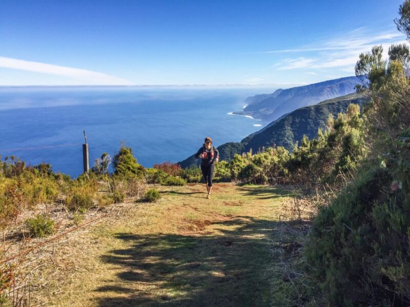Funchal: Fanal Ancient Forest Running Tour - Booking Information