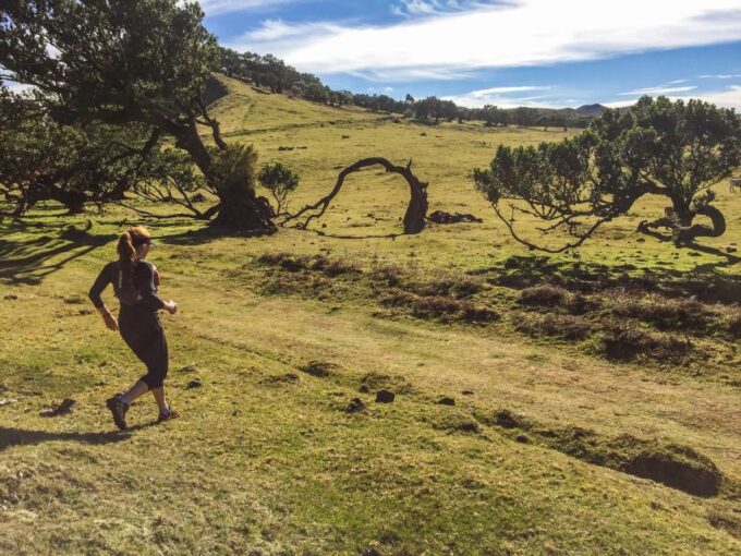 Funchal: Fanal Ancient Forest Running Tour - Preparation and Restrictions