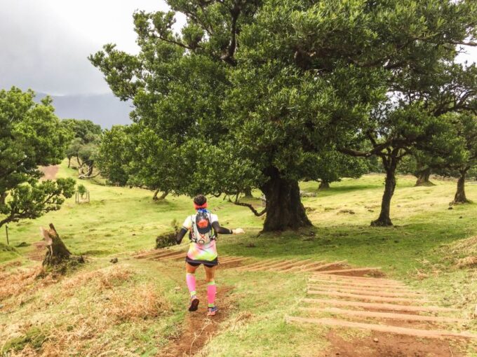 Funchal: Fanal Ancient Forest Running Tour - Languages Offered