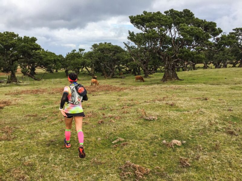 Funchal: Fanal Ancient Forest Running Tour - Key Points