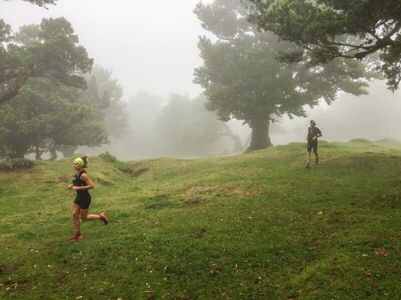 Funchal: Fanal Ancient Forest Running Tour - Inclusions
