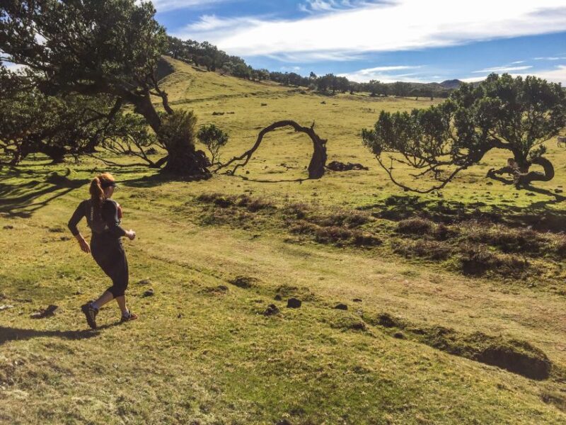 Funchal: Fanal Ancient Forest Running Tour - Booking Information