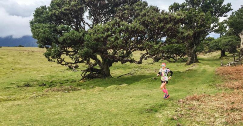 Funchal: Fanal Ancient Forest Running Tour - Participant Feedback