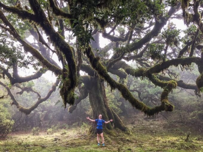 Funchal: Fanal Ancient Forest Running Tour - Frequently Asked Questions