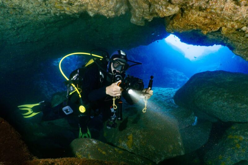 Funchal: Garajau National Park - Certified Divers - Dive Site Highlights