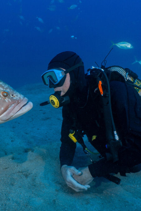 Funchal: Garajau National Park - Certified Divers - Frequently Asked Questions