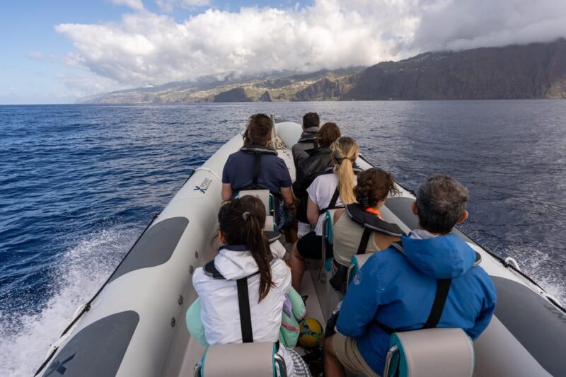 Funchal: Guarantee Wild Dolphin&Whale Watching by RIB - Inclusions and What to Bring