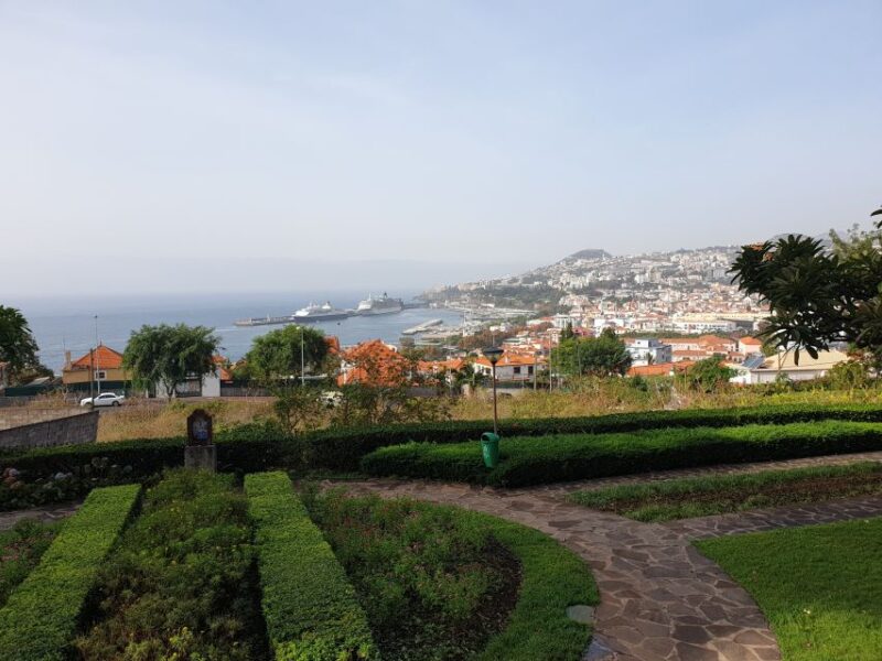 Funchal: Guided City Tuk-Tuk Tour - Important Information