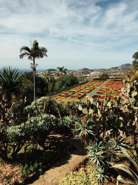 Funchal: Guided Tuk Tuk Tour and Botanical Gardens - Key Points