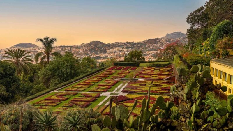 Funchal: Guided Tuk Tuk Tour and Botanical Gardens - Highlights of the Tour