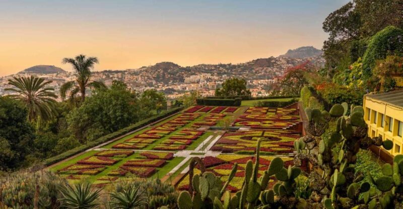 Funchal: Guided Tuk Tuk Tour and Botanical Gardens - Highlights of the Tour