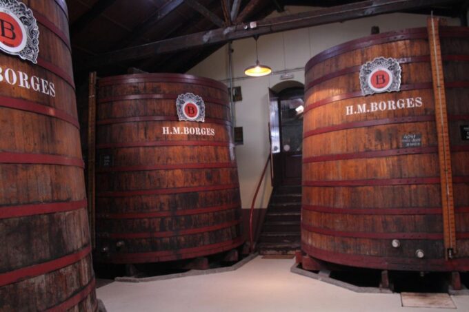 Funchal: H.M. Borges Winery Guided Tour With Wine Tasting - Accessibility Considerations