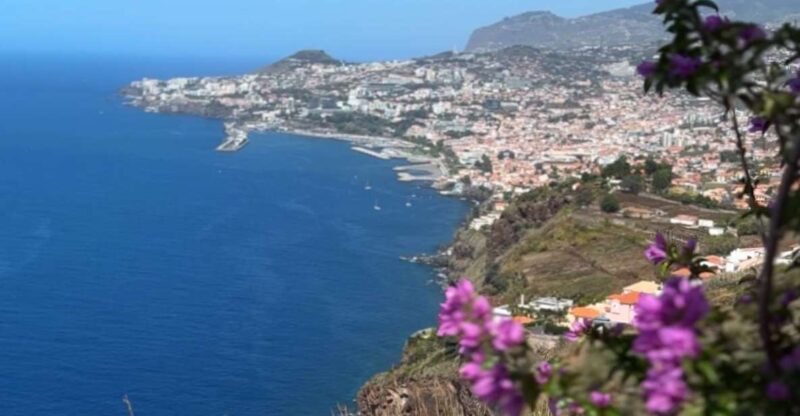 Funchal Historical Tuk-Tuk Guided Tour - Experience and Highlights
