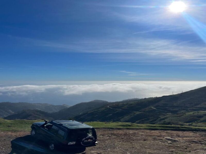 Funchal: Island Explorer Madeira by 4X4 North West - Itinerary Highlights