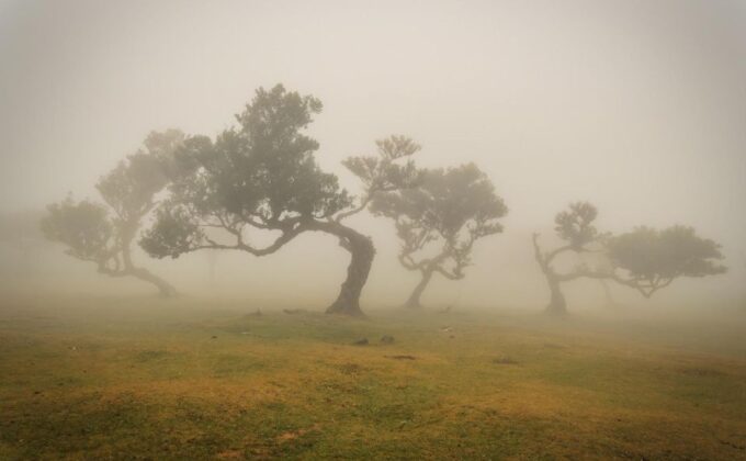 Funchal: Island Explorer Madeira by 4X4 North West - Reservation Process