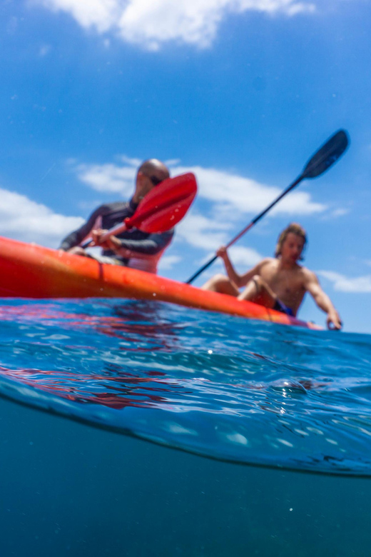 Funchal: KAYAK Rental or Guided Tour With Snorkeling - Pricing and Duration