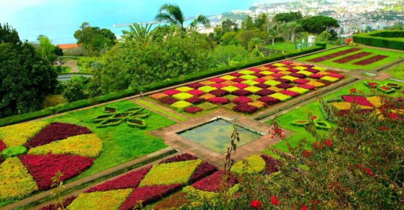 Funchal: Madeira Botanical Garden Private Tuk-Tuk Tour - Customer Feedback