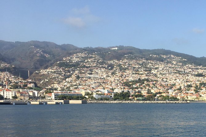 Funchal, Madeira Short Visit Shore Excursion - Meeting and Pickup Information