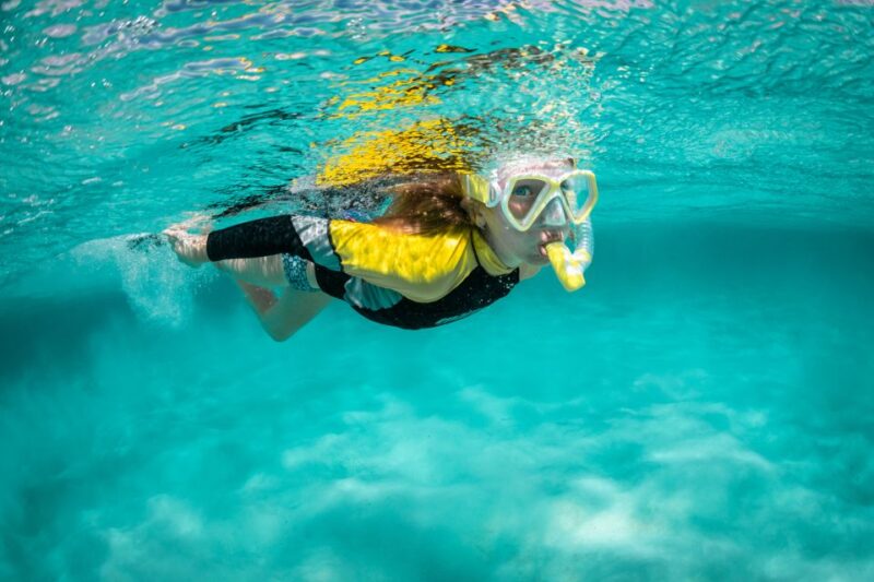 Funchal: Marine Reserve of Garajau Snorkeling Trip - Key Points