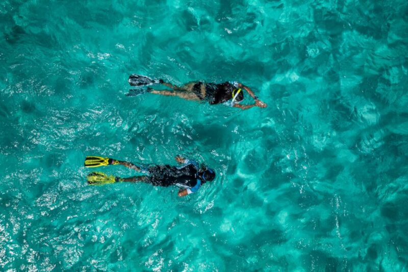 Funchal: Marine Reserve of Garajau Snorkeling Trip - Itinerary and Activities