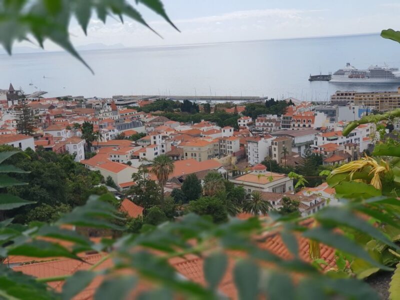 Funchal: Monte and Old Town Tour by Tuk-Tuk - Customer Reviews