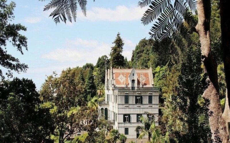 Funchal: Monte Palace Tropical Gardens Tuk Tuk Tour - Experience Highlights