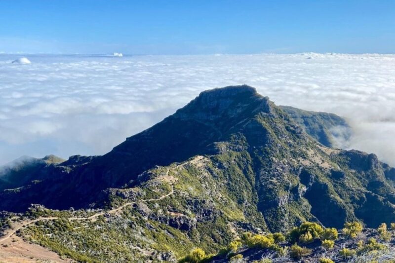 Funchal: Morning Transfer Pico Do Arieiro Pico Ruivo Hike - Customer Feedback and Ratings