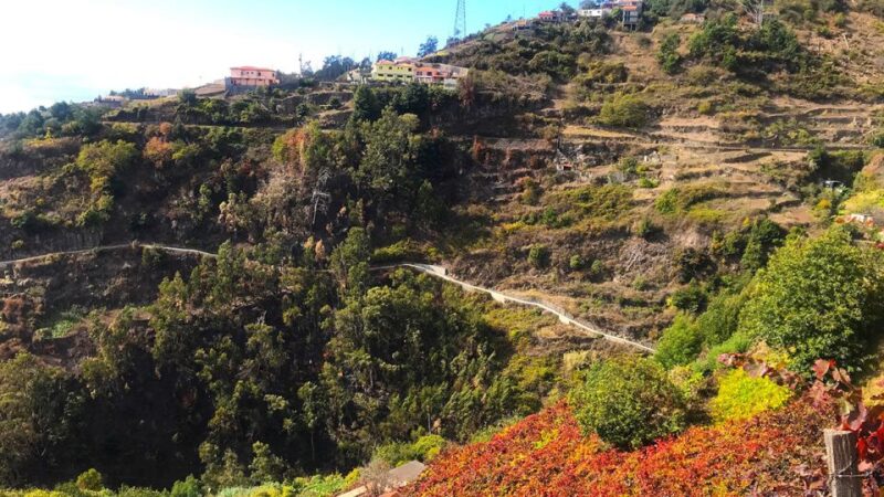 Funchal: Northern Levada Walking Tour - Guided Tour Details