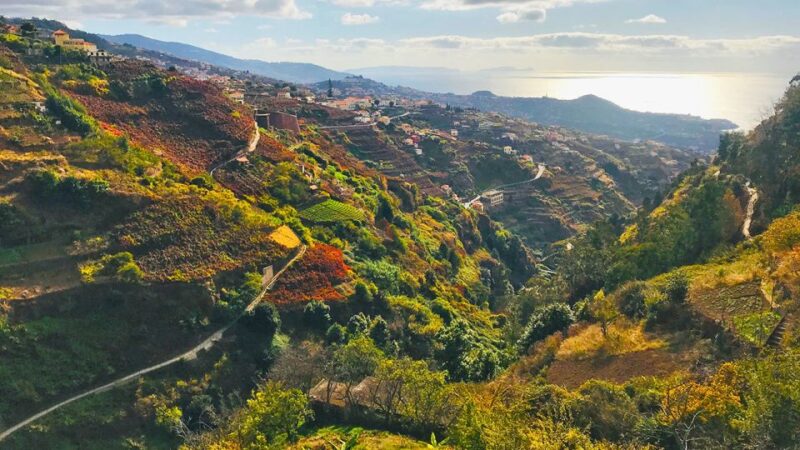 Funchal: Northern Levada Walking Tour - Customer Reviews