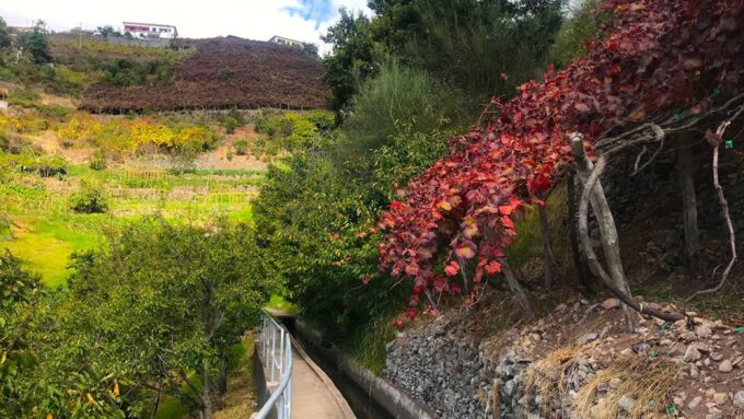 Funchal: Northern Levada Walking Tour - Tour Duration and Price