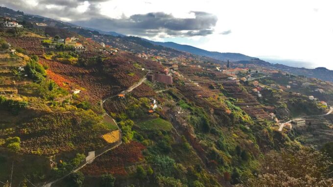 Funchal: Northern Levada Walking Tour - Free Cancellation and Payment Options