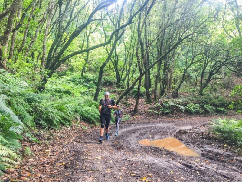 Funchal: Ocean to Mountain Running Tour - Key Points