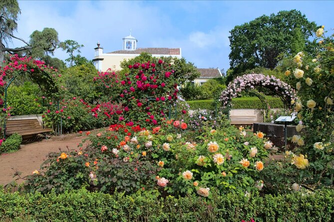 Funchal Old Town & Palheiro Gardens Private Tuk Tuk Tour - Tuk Tuk Tour Highlights