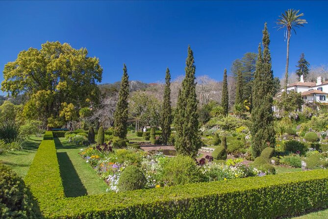 Funchal Old Town & Palheiro Gardens Private Tuk Tuk Tour - Pickup and Meeting Point Details