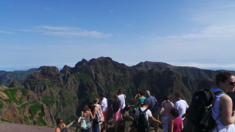 Funchal: Pico Arieiro, Cristo Rei and Dolphins Watching - Itinerary Highlights
