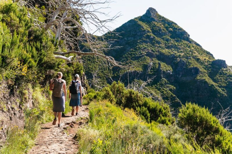 Funchal: Pico Do Arieiro and Pico Ruivo Sunrise Hike - Inclusions and Exclusions