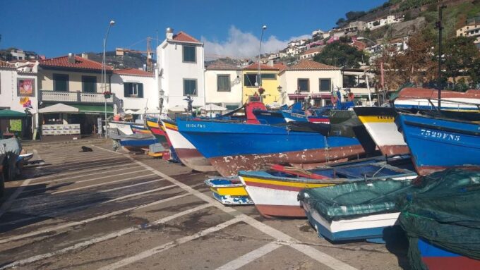 Funchal Private 4-Seater VIP Mercedes / 8-Seater Minibus - Tour Customization and Itineraries